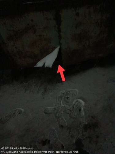 IMG 20260120 182856 2.jpg