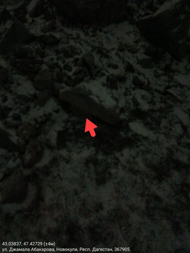 IMG 20260120 182929.jpg