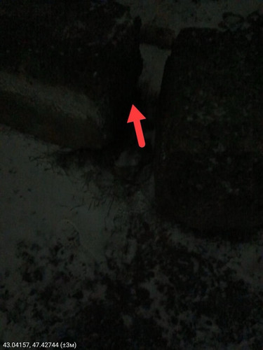 IMG 20260120 182857.jpg