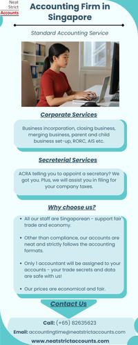 Accounting Firm in Singapore.1