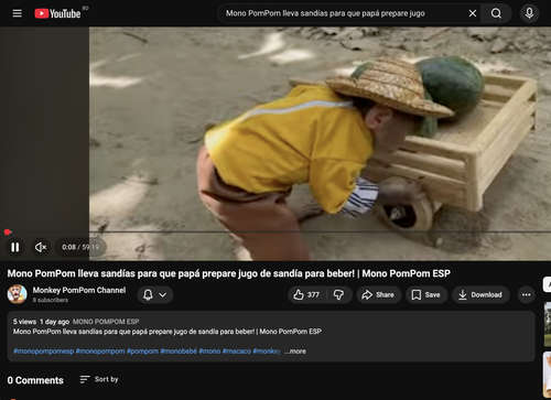 Screenshot 2026 01 21 at 1.03.30 AM.png