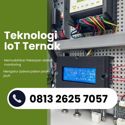 IoT (1).jpg
