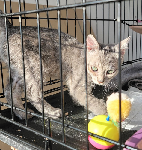 G LxqFXXYAATFX8?format=jpg.jpg