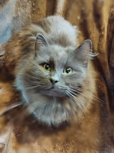 G HR0K XsAEmHyj?format=jpg.jpg