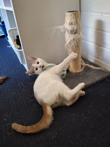 616324139 10237681935122524 6494523707602186788 n.jpg