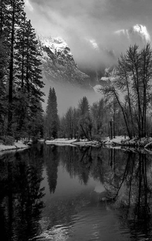 Untitled design (38).png