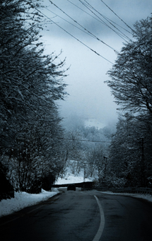 Untitled design (41).png