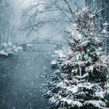 Untitled design (42).png