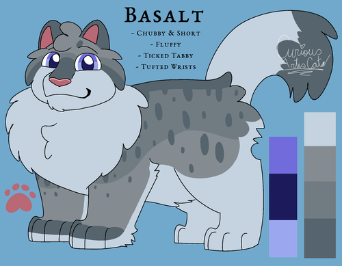 1336 Sem Título 20260121124356.png