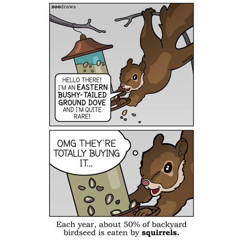 cq0btdik2qeg1.jpg