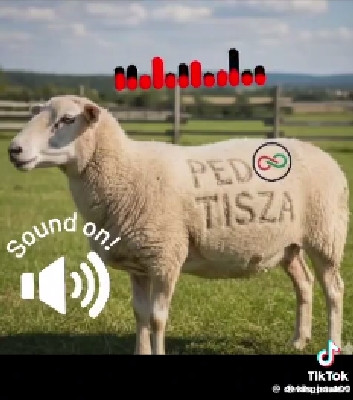 G IFAlKXsAAAua3?format=jpg.jpg