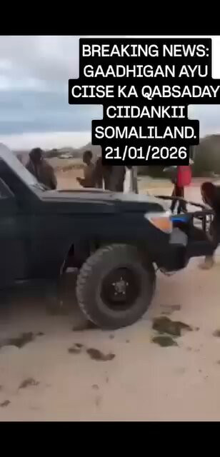 cYliCUhdks8ASjGF.jpg