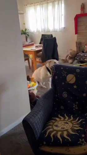 lmg6YimH2O XEJ8J.jpg