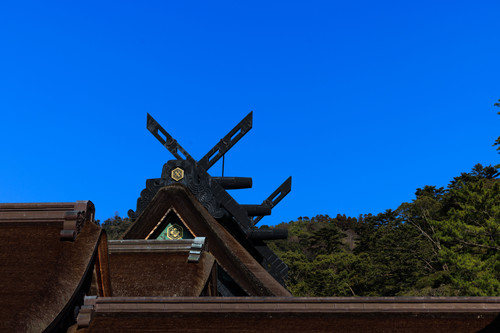 5N8A5115.jpg