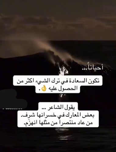  gFwVrgola8bJ8wt.jpg