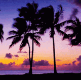 sunset.gif