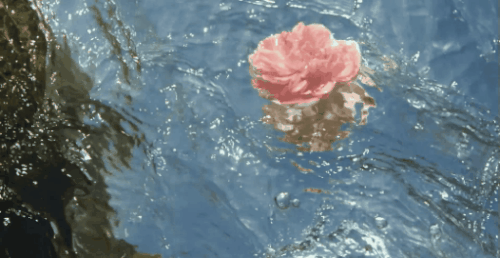 ripples.gif