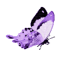 From KlickPin CF Butterfly Butterflies Purple JitterBugGirl Butterfly gif Butterfly Baby print art.gif