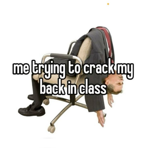 1000023402.jpg