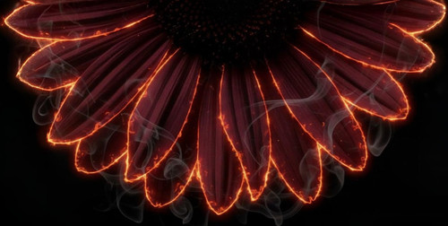 Generated Image January 28, 2026 10 18PM.jpg