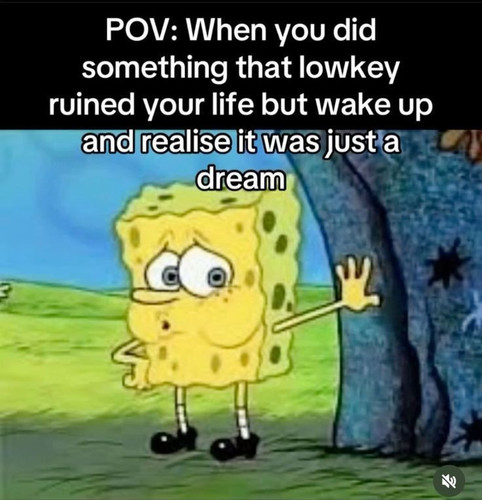 1000023397.jpg