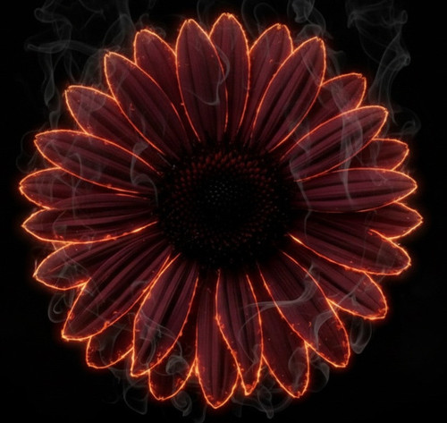 Gemini Generated Image od9ssgod9ssgod9s2.jpg