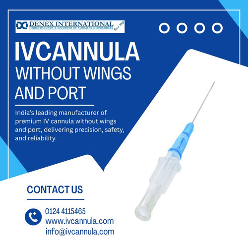 I.V. Cannula without wings and port.jpg
