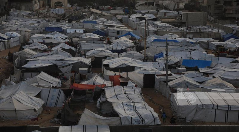خيام النازحين تتكدّس وسط مدينة غزة، حيث تُجبر آلاف العائلات على العيش في مساحات ضيّقة، في ظل نقص حاد بالمياه والغذاء والرعاية الصحية...