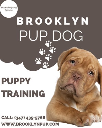 Puppy Training NYC.png