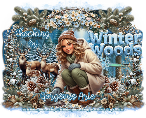 eousArieWinterWoodsChkInKK36AP vi