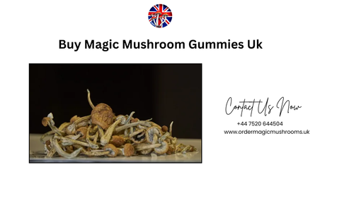 Buy High Quality Magic Mushroom Gummies Uk Ordermagicmushrooms.png
