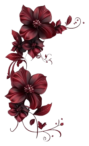 maroon beautiful red flowers Ys6tw2Yb t removebg preview.png