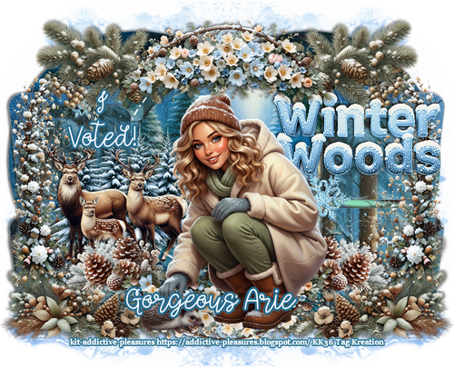 eousArieWinterWoodsVotedKK36AP vi