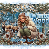 eousArieWinterWoodsVotedKK36AP vi