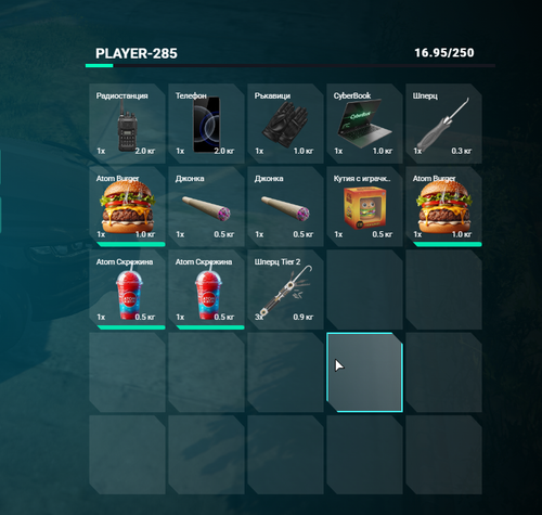 FiveM GTAProcess 4tOFkFtYAc.png