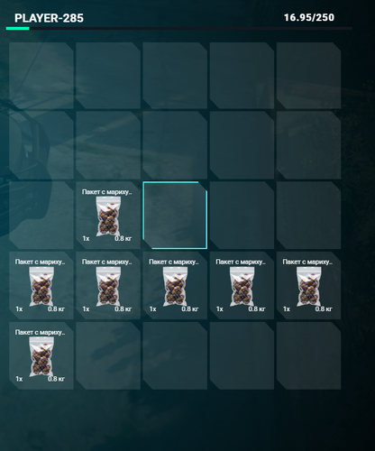 FiveM GTAProcess fLAooH5NyG.png