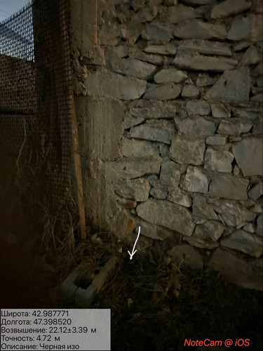 photo 8 2026 01 29 02 25 36.jpg