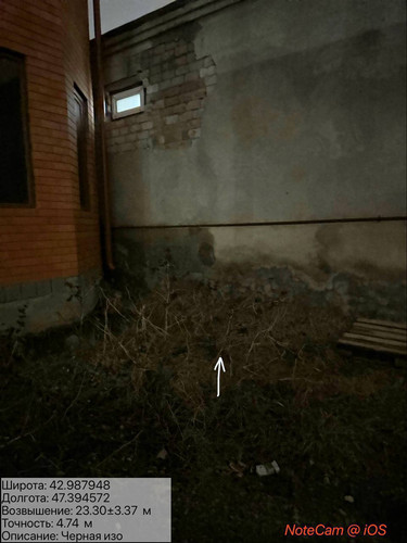 photo 5 2026 01 29 02 25 36.jpg