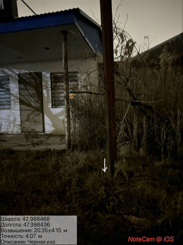 photo 6 2026 01 29 02 25 36.jpg