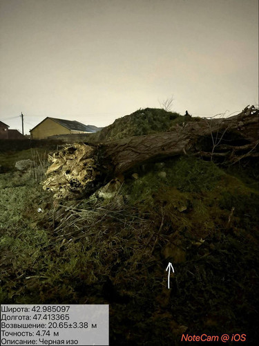 photo 11 2026 01 29 02 25 36.jpg