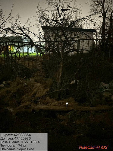 photo 18 2026 01 29 02 25 37.jpg