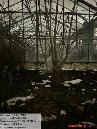 photo 12 2026 01 29 02 25 37.jpg