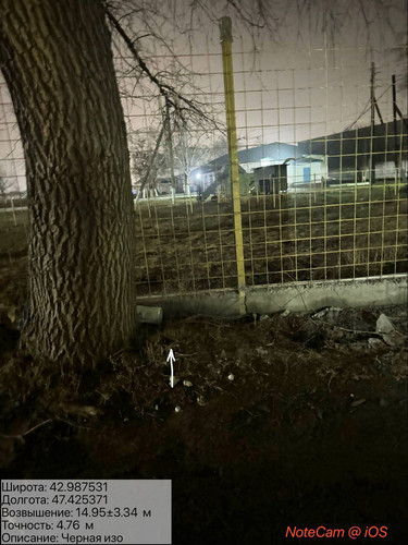 photo 19 2026 01 29 02 25 37.jpg