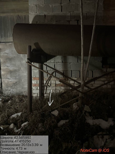 photo 13 2026 01 29 02 25 37.jpg