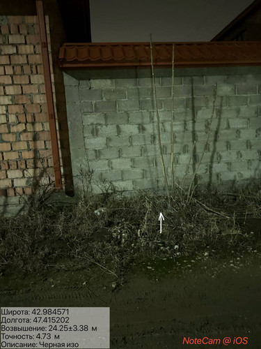 photo 15 2026 01 29 02 25 37.jpg