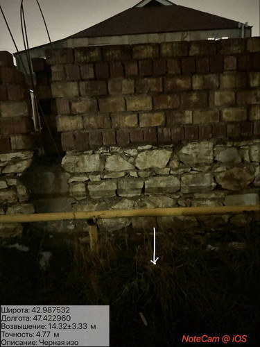 photo 21 2026 01 29 02 25 37.jpg