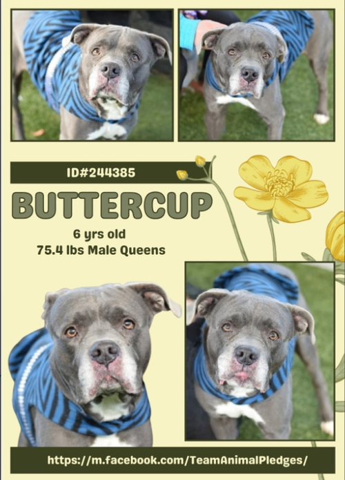 G EVGHdXcAA7Pbu?format=png.png