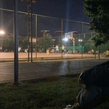 e9db9caeb0d532edba2f41d95b3ddf67