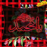 Dini Resim V250120261432 N10