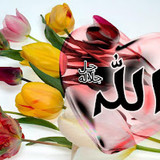 Dini Resim V250120261432 N20